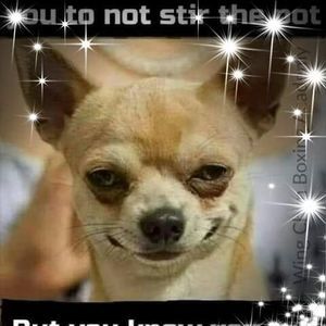 Meet your Posher, Jodie